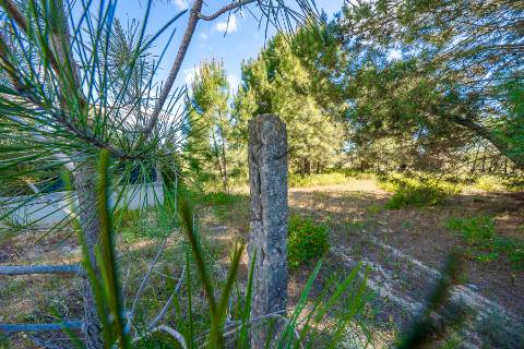 | Terreno para Loteamento | PIP Aprovado | AIRES - PALMELA |