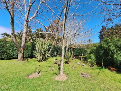 CASA DE CAMPO COM AMPLO JARDIM PARA AMANTES DA NATUREZA