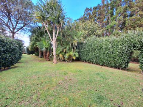 CASA DE CAMPO COM AMPLO JARDIM PARA AMANTES DA NATUREZA