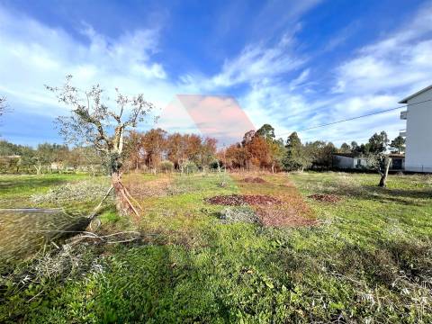 Moradia T3 Venda em Covas e Vila Nova de Oliveirinha,Tábua