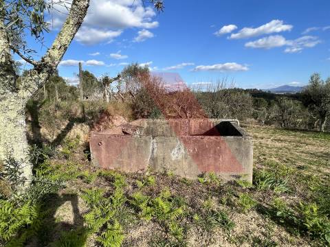 Terreno Rústico T0 Venda em Póvoa de Midões,Tábua