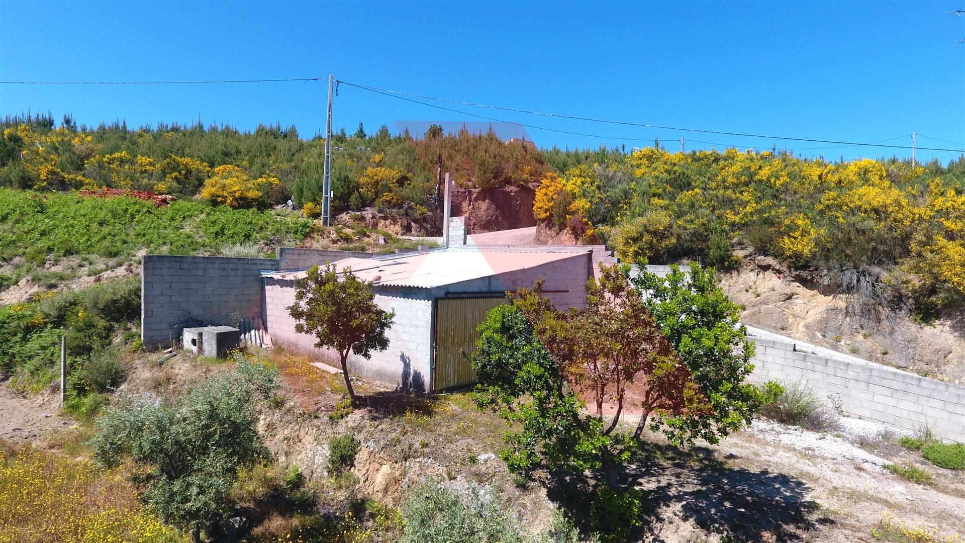 Terreno  Venda em Oliveira do Hospital e São Paio de Gramaços,Oliveira do Hospital