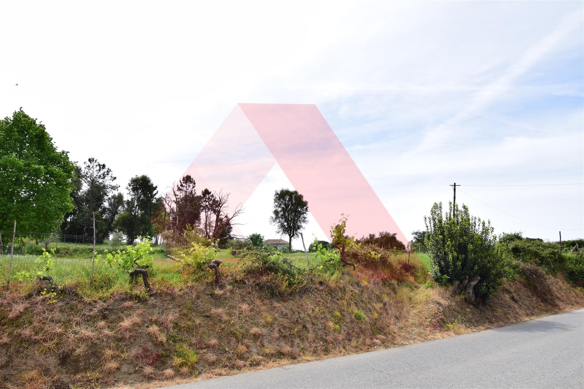 Lote de Terreno  Venda em Lagos da Beira e Lajeosa,Oliveira do Hospital