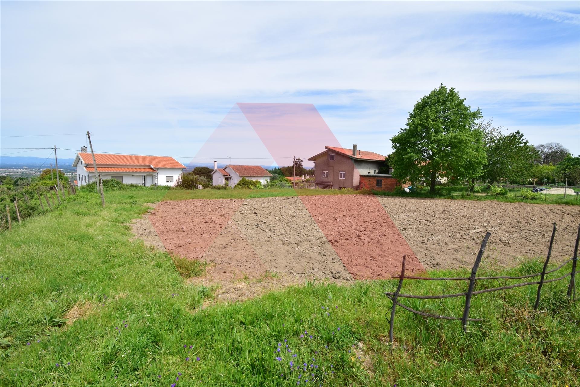 Lote de Terreno  Venda em Lagos da Beira e Lajeosa,Oliveira do Hospital
