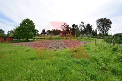 Lote de Terreno  Venda em Lagos da Beira e Lajeosa,Oliveira do Hospital
