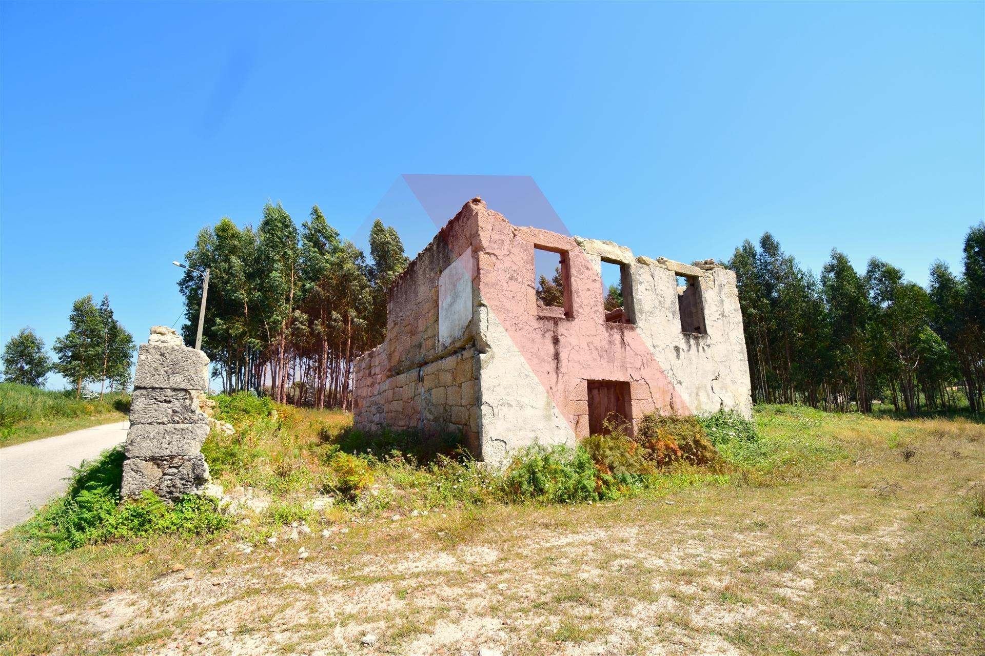 Quinta  Venda em Midões,Tábua