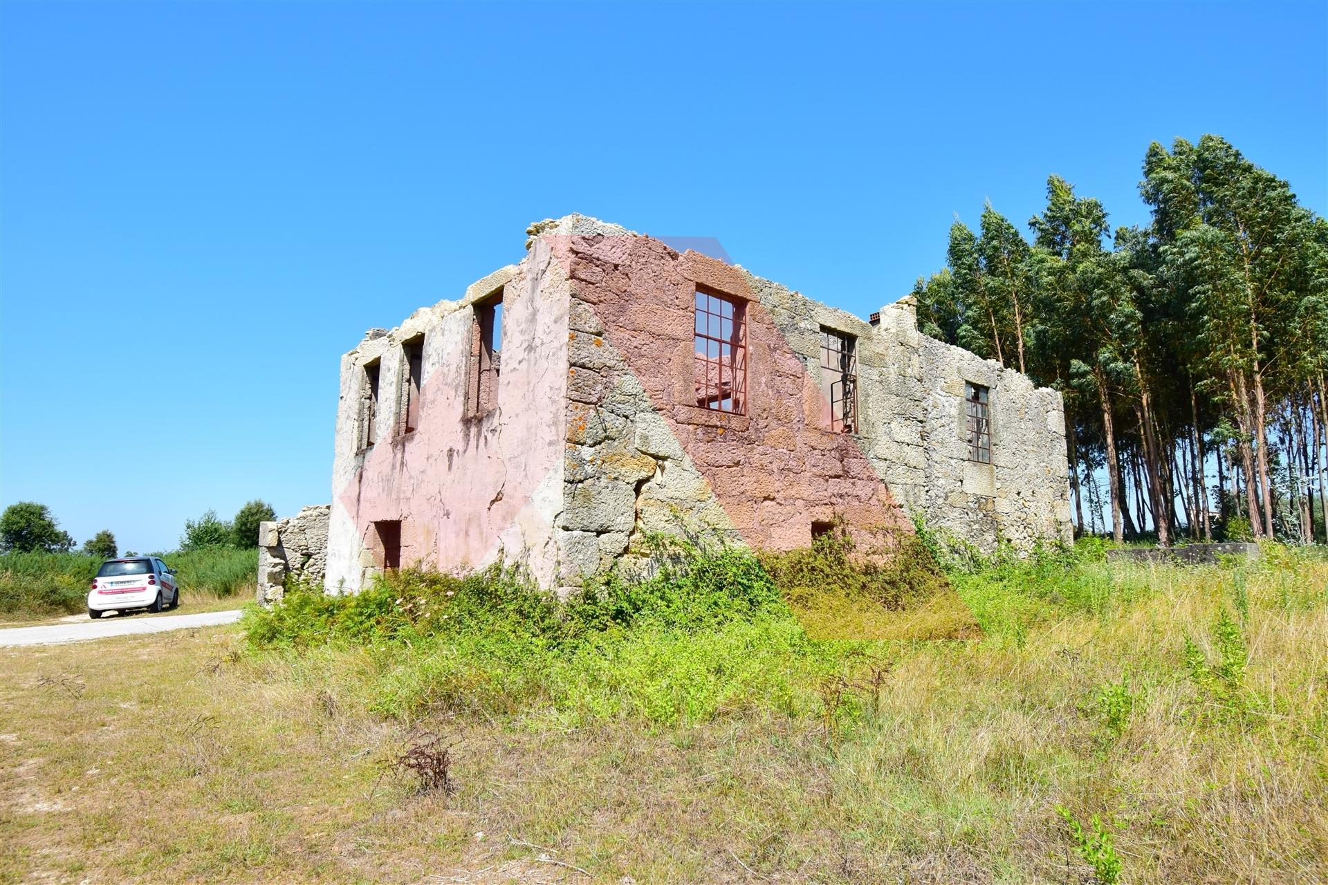 Quinta  Venda em Midões,Tábua