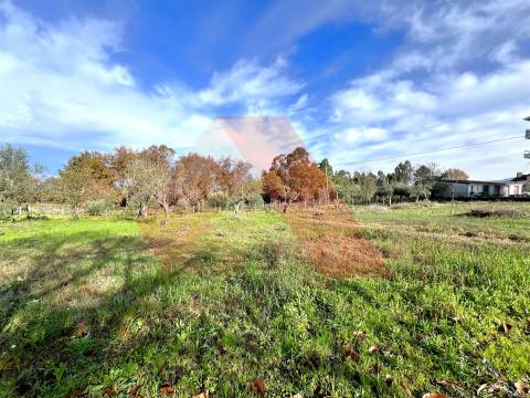 Moradia T3 Venda em Covas e Vila Nova de Oliveirinha,Tábua