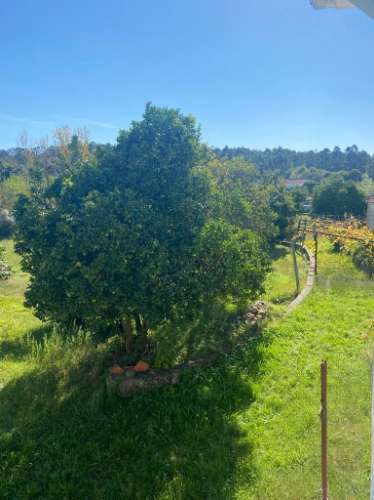 Terreno urbano em Sandim para construção