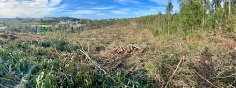 Terreno urbano em Sandim para construção