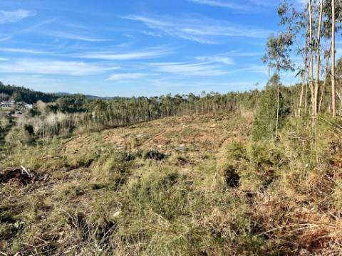 Terreno urbano em Sandim para construção