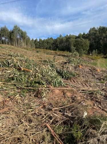 Terreno urbano em Sandim para construção