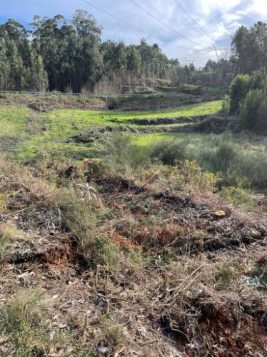 Terreno urbano em Sandim para construção