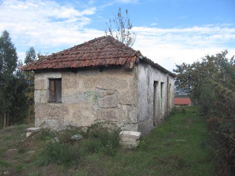 Terreno de 20000m2 com Casa de um pavimento com 6 divisões em Moira - freguesia de Constance