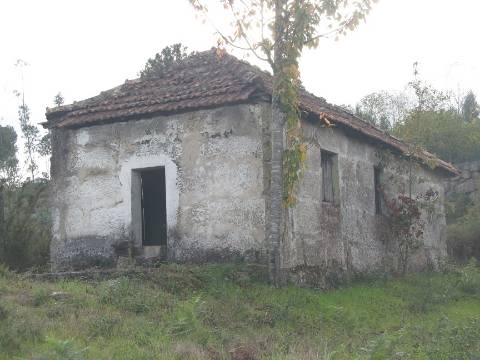 Terreno de 20000m2 com Casa de um pavimento com 6 divisões em Moira - freguesia de Constance