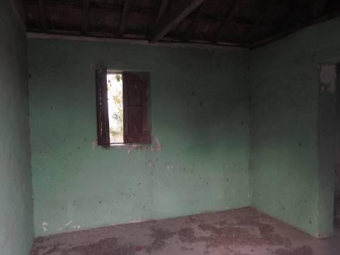 Terreno de 20000m2 com Casa de um pavimento com 6 divisões em Moira - freguesia de Constance