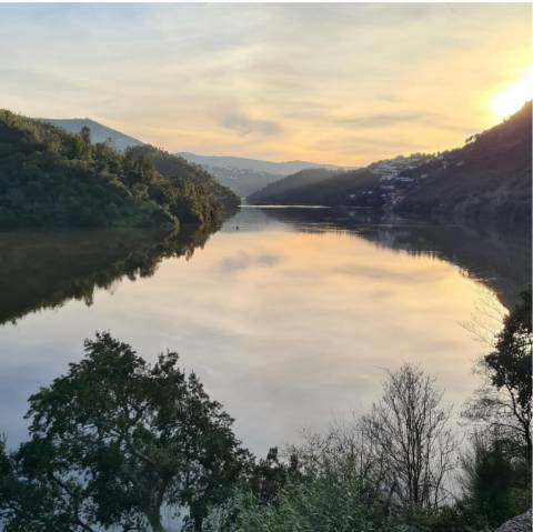 Quinta no Douro com Projeto Hoteleiro | Vista Rio | Praia Privativa | Sebolido