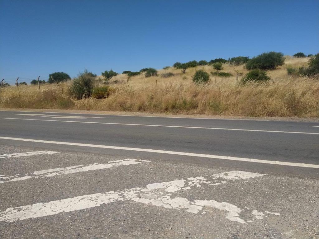 Terreno Rústico com 3,8 Hectares - Potencial para Turismo Rural ou Armazém Agrícola