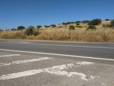 Terreno Rústico com 3,8 Hectares - Potencial para Turismo Rural ou Armazém Agrícola