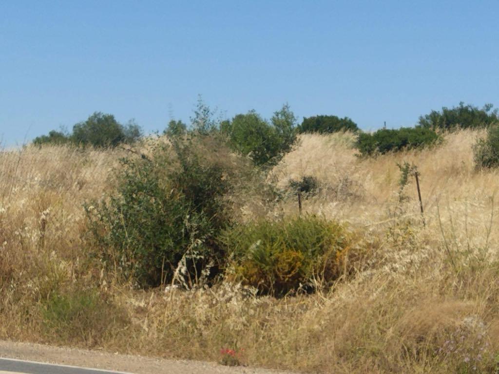 Terreno Rústico com 3,8 Hectares - Potencial para Turismo Rural ou Armazém Agrícola