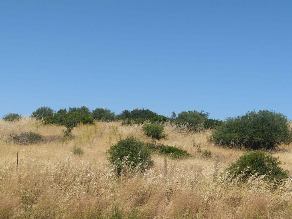 Terreno Rústico com 3,8 Hectares - Potencial para Turismo Rural ou Armazém Agrícola