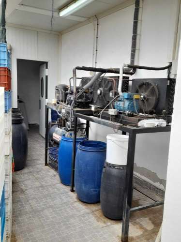 Fábrica pronta a laboral - SETOR ALIMENTAR