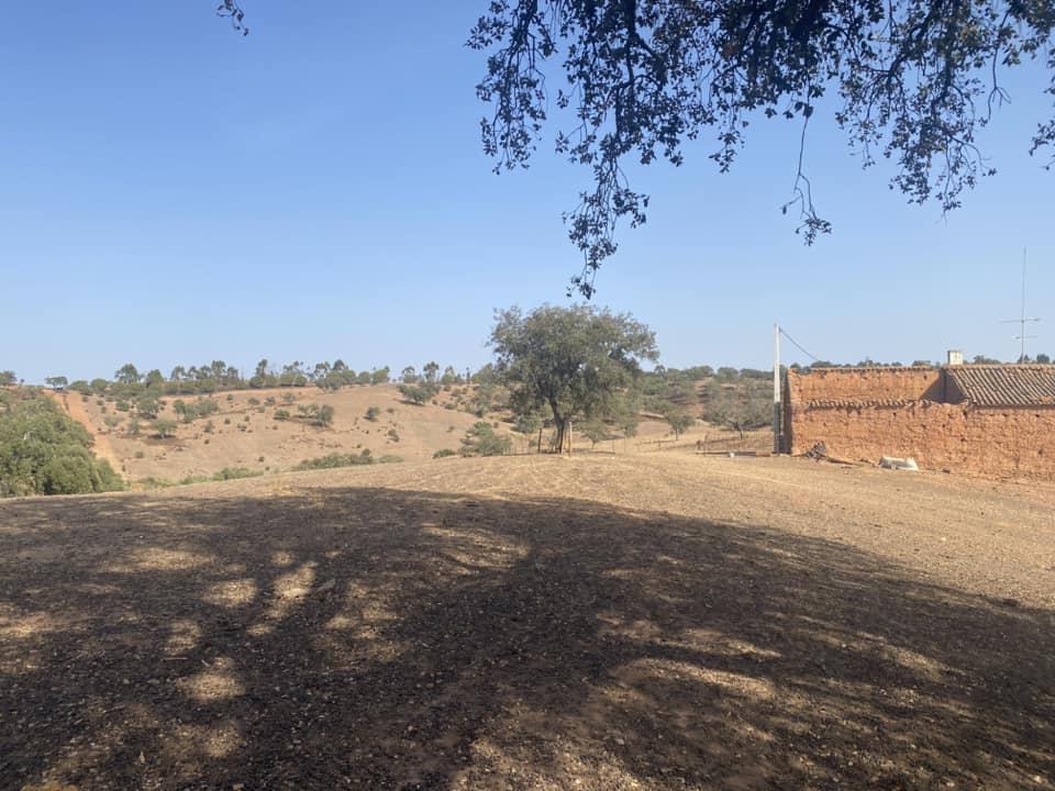 Propriedade de 35 ha - com Monte em Ruínas em Serpa