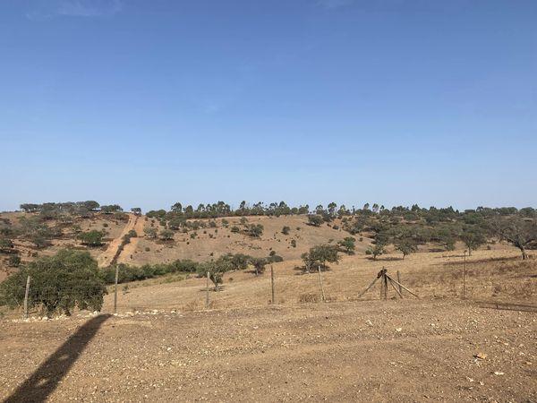 Propriedade de 35 ha - com Monte em Ruínas em Serpa