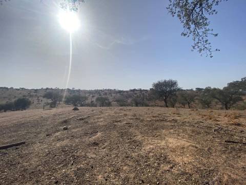 Propriedade de 35 ha - com Monte em Ruínas em Serpa