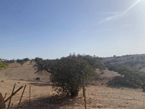 Propriedade de 35 ha - com Monte em Ruínas em Serpa