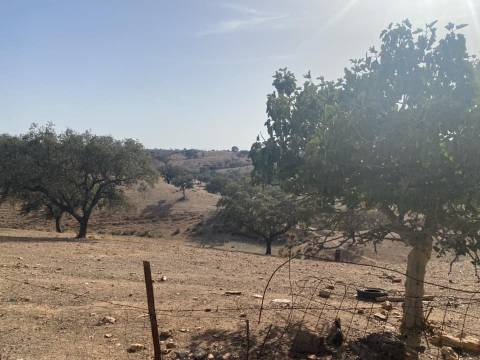Propriedade de 35 ha - com Monte em Ruínas em Serpa