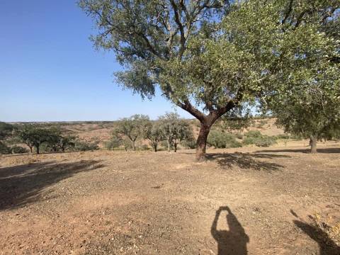 Propriedade de 35 ha - com Monte em Ruínas em Serpa