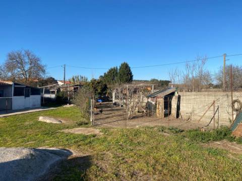 Moradia T3, espaço comercial, e terreno com 0.3375 hectares

