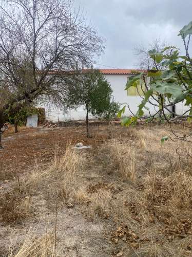 Moradia Térrea Remodelada com Amplo Terreno em Vale de Vargo , Serpa