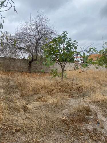 Moradia Térrea Remodelada com Amplo Terreno em Vale de Vargo , Serpa