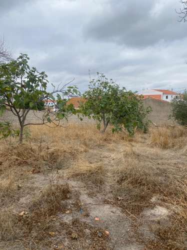 Moradia Térrea Remodelada com Amplo Terreno em Vale de Vargo , Serpa