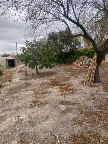 Moradia Térrea Remodelada com Amplo Terreno em Vale de Vargo , Serpa