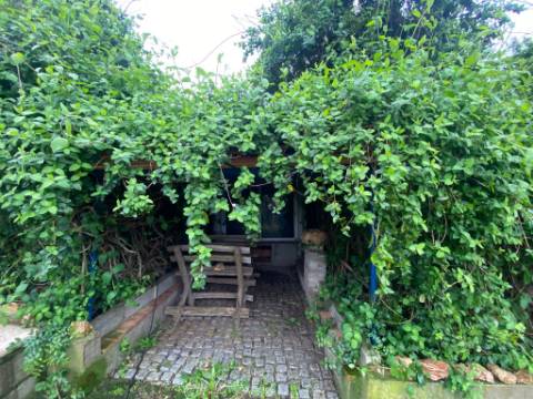 Quintinha de charme com 1,7 ha, capela privada e abundância de água - Vila Verde de Ficalho (Serpa)