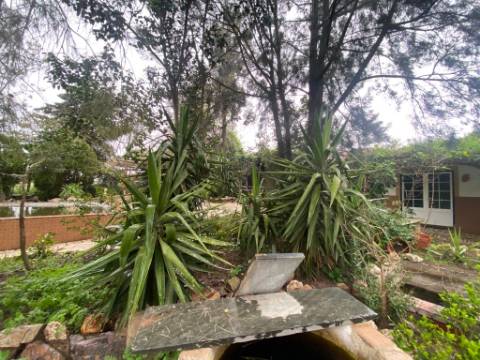 Quintinha de charme com 1,7 ha, capela privada e abundância de água - Vila Verde de Ficalho (Serpa)
