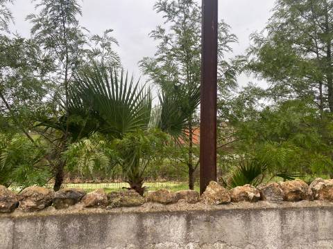 Quintinha de charme com 1,7 ha, capela privada e abundância de água - Vila Verde de Ficalho (Serpa)