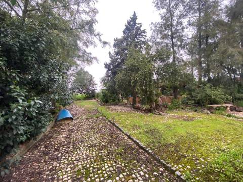 Quintinha de charme com 1,7 ha, capela privada e abundância de água - Vila Verde de Ficalho (Serpa)