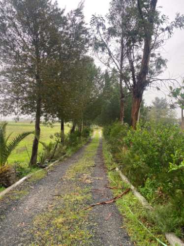 Quintinha de charme com 1,7 ha, capela privada e abundância de água - Vila Verde de Ficalho (Serpa)