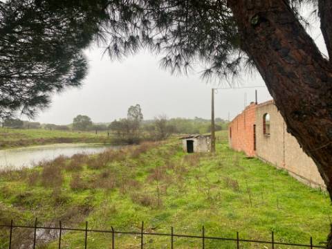Quintinha de charme com 1,7 ha, capela privada e abundância de água - Vila Verde de Ficalho (Serpa)