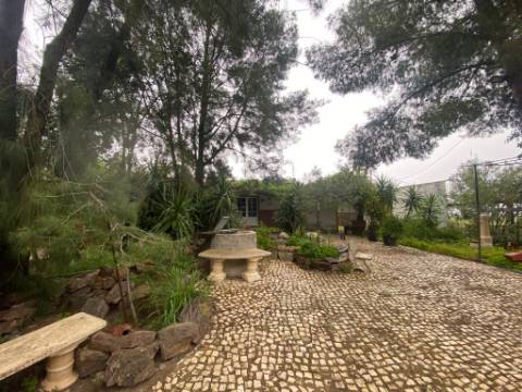 Quintinha de charme com 1,7 ha, capela privada e abundância de água - Vila Verde de Ficalho (Serpa)