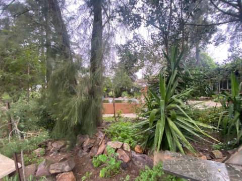 Quintinha de charme com 1,7 ha, capela privada e abundância de água - Vila Verde de Ficalho (Serpa)