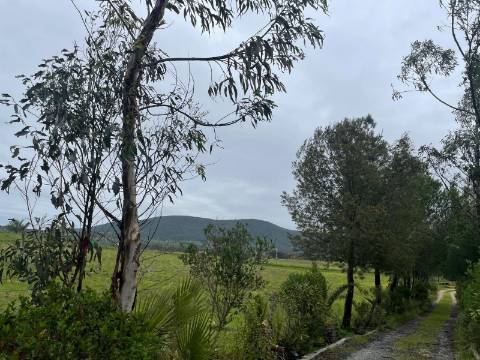 Quintinha de charme com 1,7 ha, capela privada e abundância de água - Vila Verde de Ficalho (Serpa)