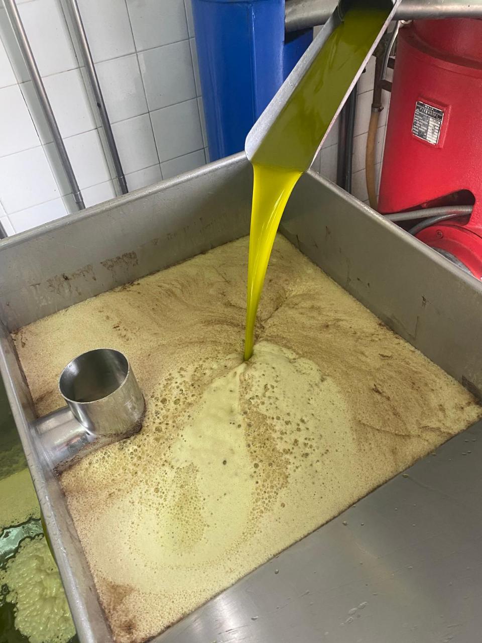 Lagar Industrial de Excelência em Vale de Vargo , Serpa