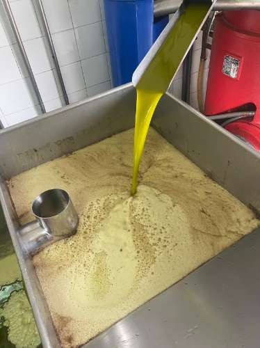 Lagar Industrial de Excelência em Vale de Vargo , Serpa