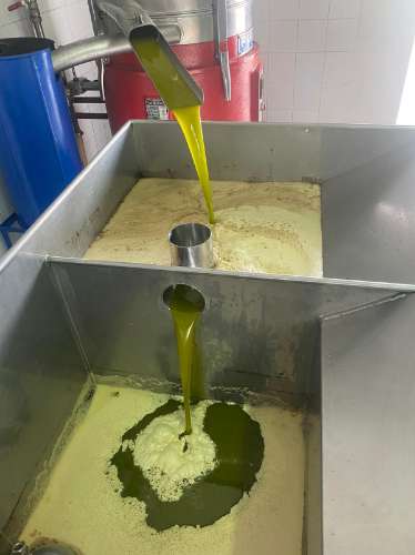 Lagar Industrial de Excelência em Vale de Vargo , Serpa