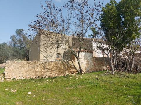 Quintinha com casa antiga a 15 minutos de Albufeira com furo !